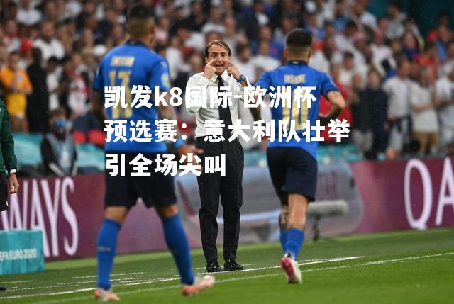 欧洲杯预选赛：意大利队壮举引全场尖叫